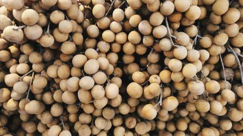 Group of sweet longan pattern texture background. Stock Photos