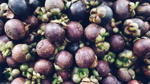 Group of sweet mangosteen pattern texture background. Stock Photos