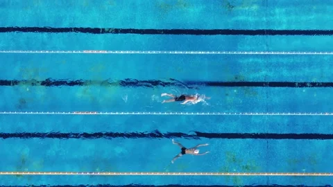 Group of swimmers training in an outdoor pool top view Stock Footage 219947560