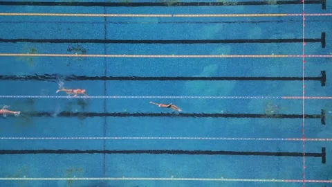 Group of swimmers training in an outdoor pool top view Video stock 224711863