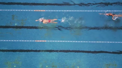 Group of swimmers training in an outdoor pool top view Video stock 224739129