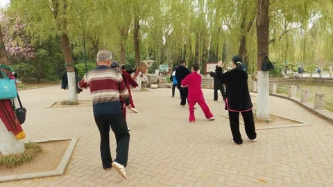 A group Tai Chi practice for senior adults. Stock Footage 241195923