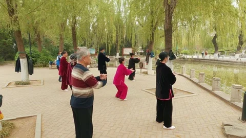 Group Tai Chi relaxation exercise for mental well-being. Stock Footage 241195859
