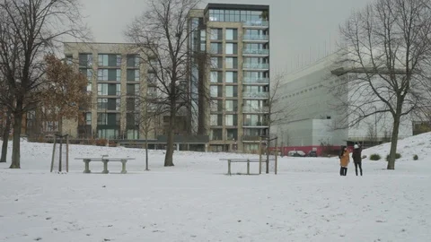 Group take selfies in the snow in London park Stock Footage