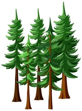 Group of Tall Green Coniferous Pine Trees Vector Illustration Illustrazione stock