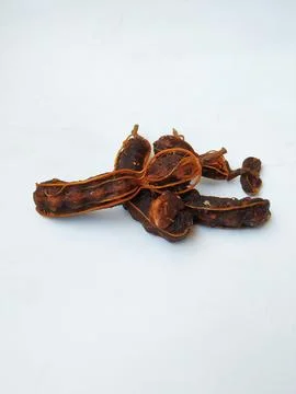 Group of Tamarind without Shell isolated on white Background. Stock Photos