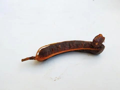 Group of Tamarind without Shell isolated on white Background. Stock Photos