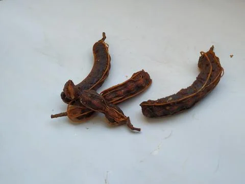 Group of Tamarind without Shell isolated on white Background. Stock Photos