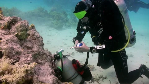 Group of technical divers develop their skills undersea Video stock 231495571