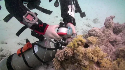 Group of technical divers improve their skills undersea Stock Footage 232378736
