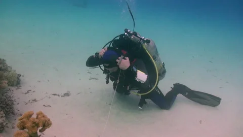 Group of technical divers refine their skills undersea Stock Footage 231645409