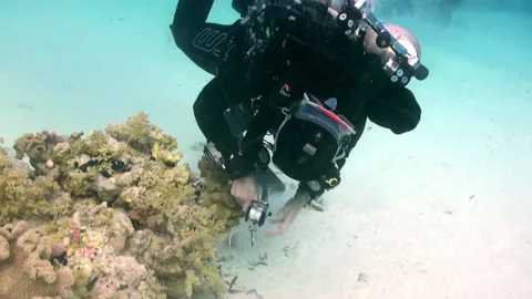 Group of technical divers refine their skills underwater Stock Footage 232378016