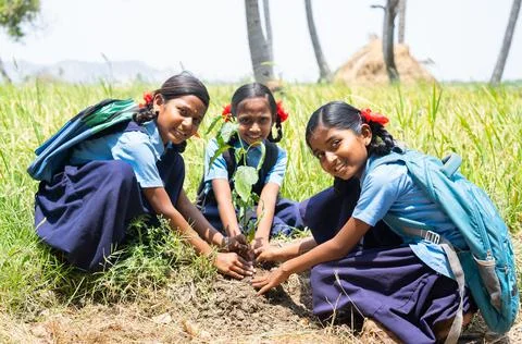 Group of teener village school kids planting tree while looking at camera - Stock Photos