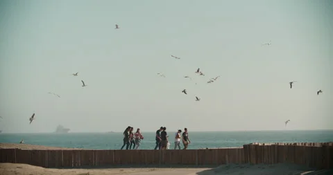 Group of Teens Walking on Beach Slow-Motion Birds Above Stock Footage 168741728