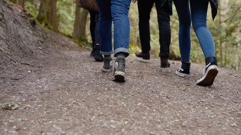 Group of teens walking down Northwest Trail Stock Footage