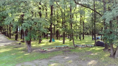 Group Of Tents Between Trees In The Park On A Sunny Day Stock Footage 137211739