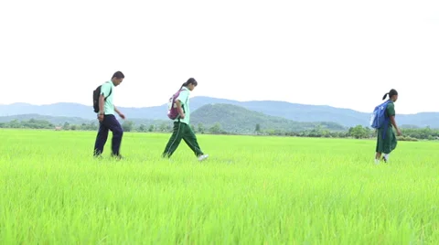 Group Of Thai High School Students Walking Through Rice Field 스톡 동영상 34547284