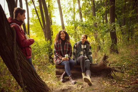 Group of three friends spending time together in the forest on warm autumn day Stock Photos