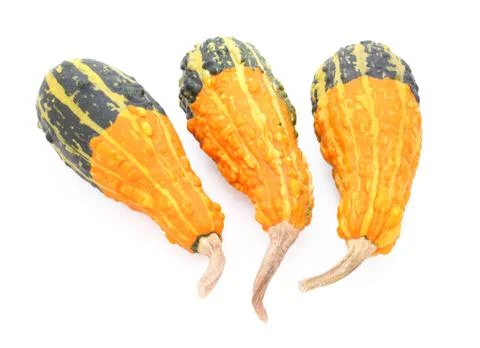 Group of three pear-shaped orange and green ornamental gourds Stock Photos