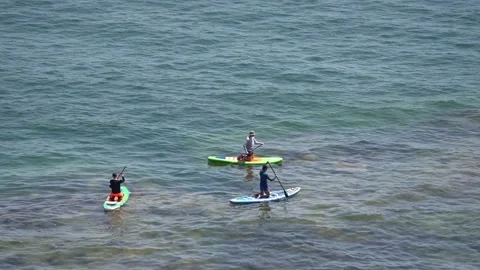 A group of three people on SUP boards in the blue sea, with the rocky bottom Stock Footage 325035103