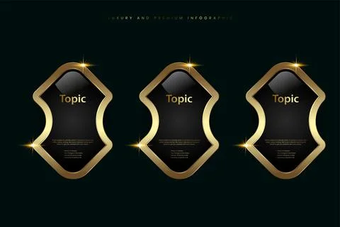 Group of three premium multipurpose buttons vector with luxury stoked in Ve.. Stock Illustration