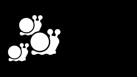 Group of Three Snails Stock Footage 334342860