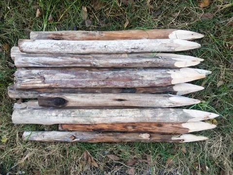 Group timber Stock Photos