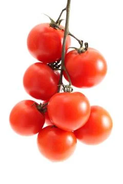 Group of tomato Stock Photos