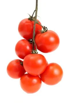 Group of tomato Stock Photos