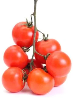 Group of tomato Stock Photos