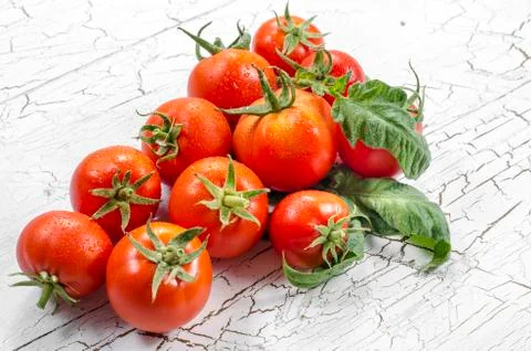 Group tomato Foto stock