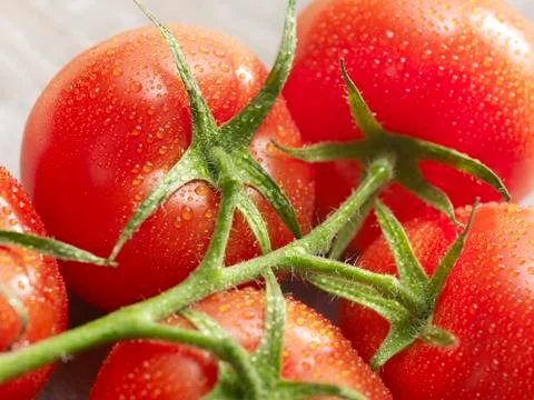 Group of tomatoes with drops on it Stock Photos