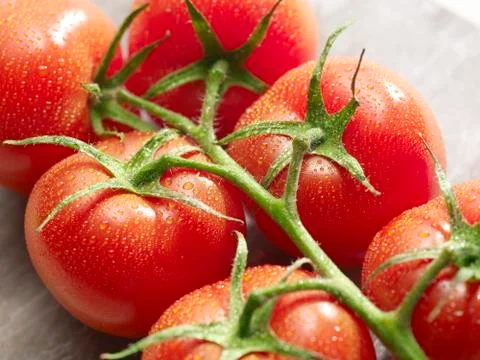 Group of tomatoes with drops on it Stock Photos