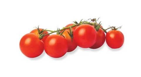 Group tomatoes isolated on the white background Stock Photos