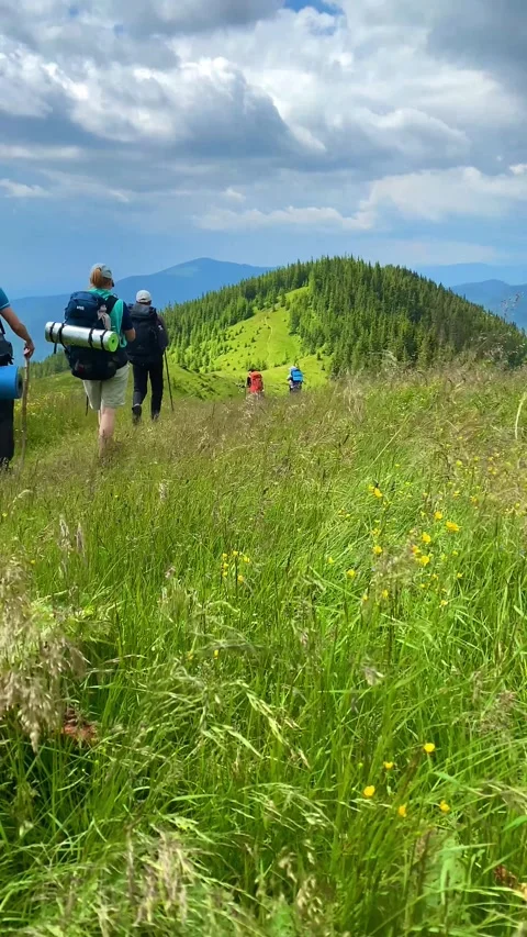 Group of tourist with a backpack walks in the mountains, hiking Stock Footage 246590647
