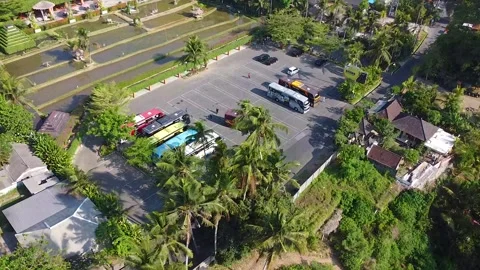 A group of tourist buses passing through Ubud village, Bali Stock Footage 285835541