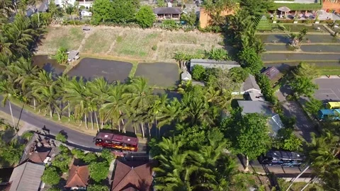A group of tourist buses passing through Ubud village, Bali Stock Footage 285835571