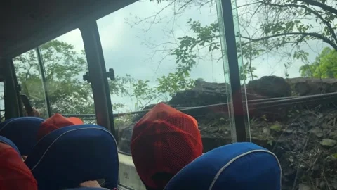 Group of tourist sitting in bus during mountain trip Stock Footage 338094195