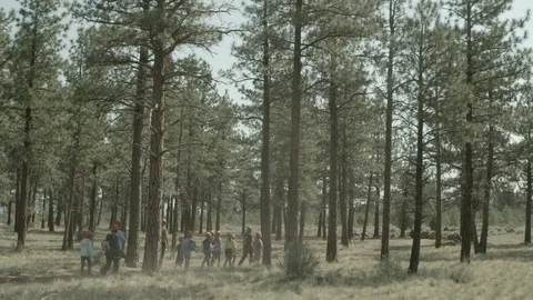 Group of tourist walking in the forest Stock Footage 87613766