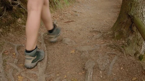 Group of tourists are on the rocky path Stock Footage 70693399