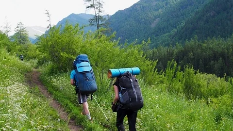 Group of tourists with backpacks walking mountain trail in the national park. Stock Footage 120917828