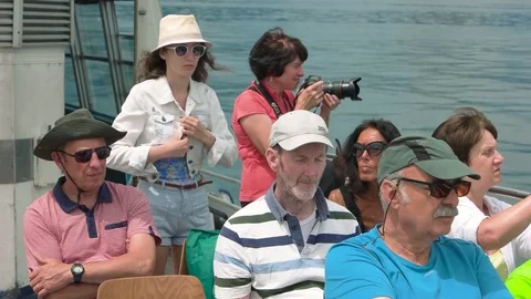 Group of tourists. Stock Footage