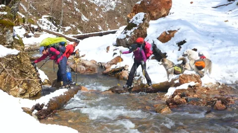 A group of tourists moving mountain river ford Stock Footage 50767972