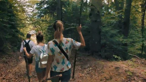 A group of tourists out of the woods, walking along the forest path. Stock Footage 69182453