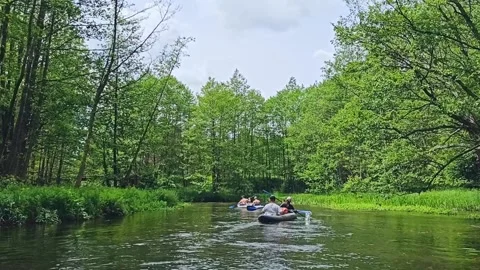 A group of tourists rafting on the river Stock Footage 234883583