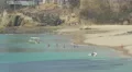 Group of tourists relaxing in the water on Contadora Island, Panama 4k or 4k+ Resolution