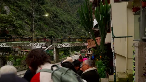 Group of tourists waits in a queue for a shuttle bus to historic site Video stock 334840037