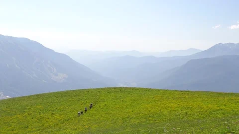 A group of tourists walking along a trail in a meadow along a mountain peak Stock Footage 158738558