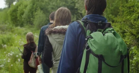 Group of tourists walking by path outdoors on nature back view slow motion Stock Footage 155776107