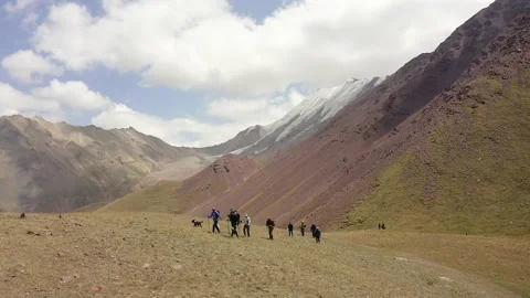 A group of tourists walks in the mountains Stock-Footage 210186689